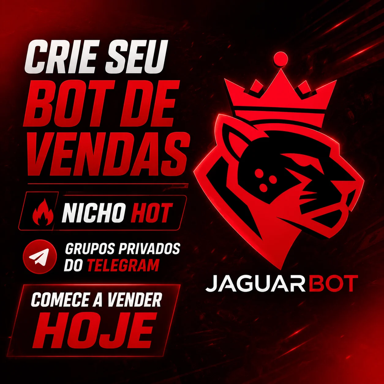 Banner Promocional
