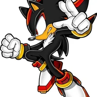 SHADOW DOWNLOADS