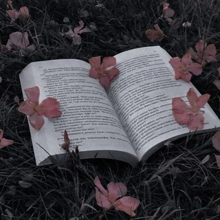 Imagem do Grupo CENTRAL DOS LIVROS 📚