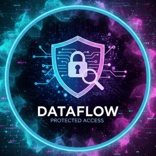 DataFlow - Buscas Grátis