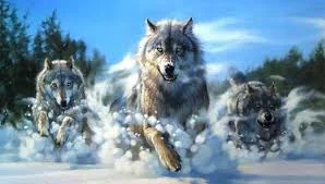 Alcatéia _ Resenhas e Risadas de Lobos